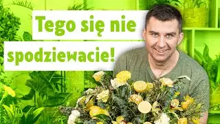 Moja propozycja kwiatów na stół. Jak ułożyć kwiaty w gąbce. Kolor roku 2021