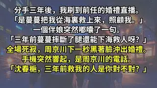 刷到前任的婚禮直播：「是蔓蔓把我從海裏救上來，照顧我。」一個伴娘突然嘟囔：「三年前蔓蔓摔斷了腿還能下海呀？」全場死寂，周京川沖出婚禮，下一秒手機突然響起：「沈春梔，三年前救我的人是你？」
