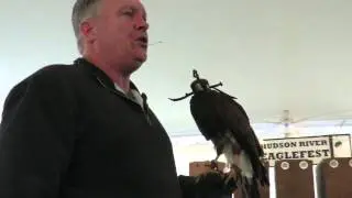 Brian Bradley at Eaglefest 2016