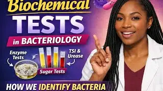 Biochemical Tests Explained Simply | How Bacteria Are Identified in the Lab