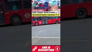 How the London's Public Transport  System TFL works | International Student's Experience&nbsp;🧑&zwj;🎓&nbsp;|&nbsp;🇬🇧