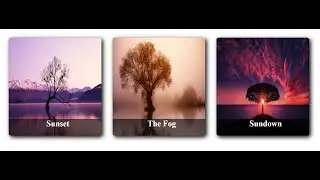 Css Card Animation Effects | Html & Css