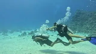 fun diving