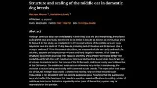 1. Structure and scaling of the middle ear in domestic dog breeds