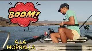 PESCA 🎣EN LA NEUM&Aacute;TICA /MINI ZODIAC🚤, UN POCO DE TODO 😎💪🏾🐟