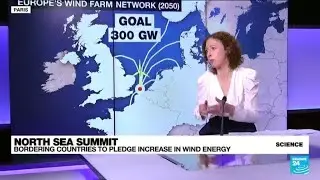 Wind power to provide energy for 300 million homes by 2050 &bull; FRANCE 24 English