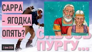 * СКВОЗЬ ПУРГУ * САРРА - ЯГОДКА ОПЯТЬ? * ЗАГАДКИ ТОРЫ/БИБЛИИ * БЫТИЕ * Глава 20 * #shorts
