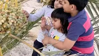 Wafara farm