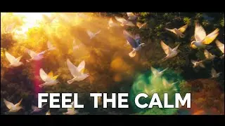 Relaxing Piano Music with Peaceful Birds 🕊️ Calm Nature Sounds for Sleep, Relaxation & Meditation