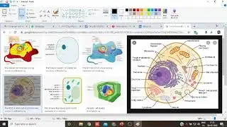 MS PAINT IMAGE EDITING TOOLS