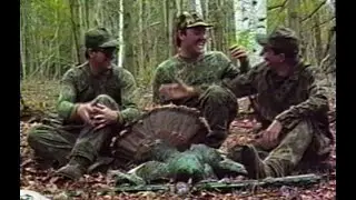 King of the Spring - The Wild Turkey