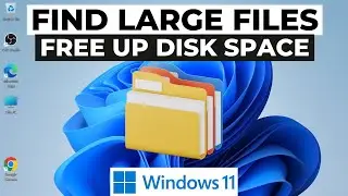 How to Find Large Files on Windows 11 2024
