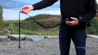 Dyrebutikk p&aring; nett - Petworld.no - Handsfree belte