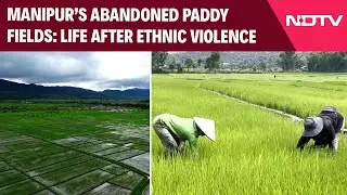 Manipur News | Ethnic Conflicts Between Kuki & Meitei Turn Fertile Farms Into No Man&rsquo;s Land