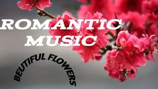 Romantic music with Beutiful flowers- Flowers for your smile,Nature music, peaceful music,