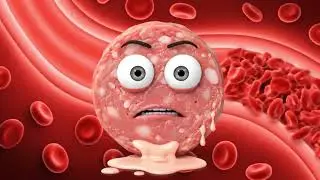 Simple Health Tips Everyone Should KnowSimple Health Tips You Must Know
