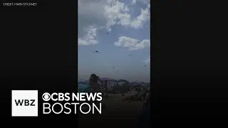 Dragonflies invade Rhode Island beach