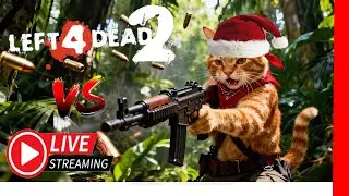 Feeder a sueldo en Año Nuevo🐱🎄