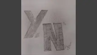 Y N
