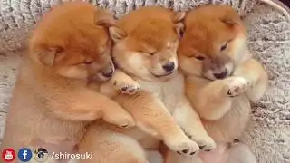 Aren't we cute enough?