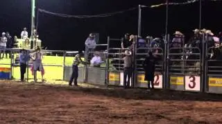 Proper Deadly - Classic Bull