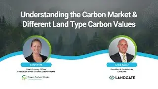 Understanding the Carbon Market & Different Land Type Carbon Values