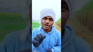 Miss Funny Stunt 🤣 #funny #shorts