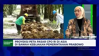 Bahlil Kejar Target B50, Apa Efeknya Ke Ekspor Sawit RI?