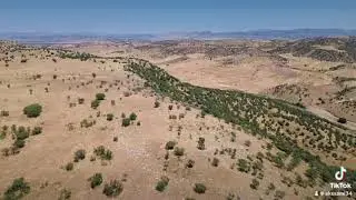 Toroslar