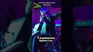 World Music Caribbean Hurricane Relief Concert 