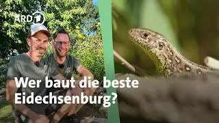 Eidechsenburg im Garten bauen: Wer gewinnt die ARD Garten-Challenge? | MDR Garten
