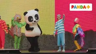 PANDA E OS CARICAS NA SELVA – O MUSICAL 🎶 | PANDA+
