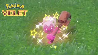 Shiny Tinkatuff FOUND in Pokemon and and Violet! | Fairy Sandwich