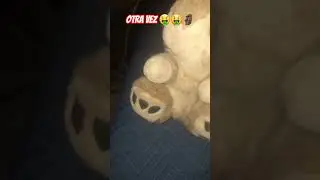 Y Ahora si Tomate Cebolla Con pelo .... otra VEZ ALA CASA 🤑🤑🤑🤑🤑🤑 #humor #yosoydelos7mil #momazo #xd