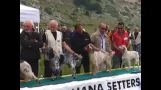 setter day 2013 campo felice 3