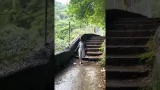 Kiliyur falls yercaud salem #youtubeshorts #shorts #annskitchen #travelvlog #yercaud #waterfalls
