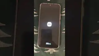 #Xiaomi 13 HyperOS Update Fail