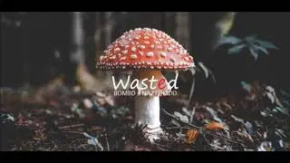 Bomb D - WASTED ft. Nazty Kidd (Bad News Mixtape)