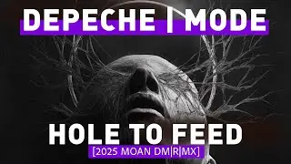 Depeche Mode - Hole To Feed [2025 EXCITER DM|R|MX]
