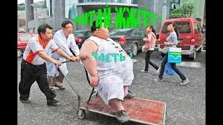 Китай жжгёт.ЮМОР.