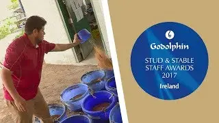 2017 Irish Stud and Stable Staff Awards - Lead by Example Award Finalists