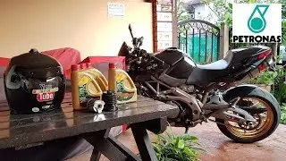 Cheap Aprilia Shiver Oil Change 🔧 ★Petronas★ ★Re-Usable Oil Filter★ ★DIY★