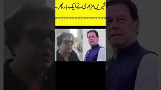 sheerin mizari NY Kamal krdiya#imrankhan #breakingnews #shortsnews #latestnews #shorts #shortsviral