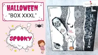 🎃 Halloween Box  Eulenfest  Happy Halloween  Hallows night magic  Have a root  Stampin UP/