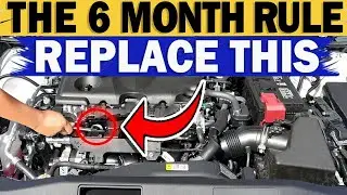 Replace THIS Every 6 Months (Car Maintenance Hack!)