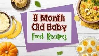 9 Month Old Baby Food Recipes