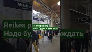 Reikės palaukt. iНадо будет подождать. #lietuviųkalba #литовскийязык