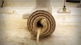 I Almost Binned This Rug… The Kaleidoscope Ending Is UNREAL. Satisfying ASMR Carpet Cleaning.