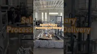 Salmon Primary Processing Line Truck Loading and Delivery #salmonprocessing#fishmachinery