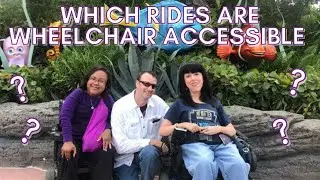 All the Wheelchair Accessible Rides at Disney World - Epcot/Animal Kingdom/Hollywood Studios #Shorts